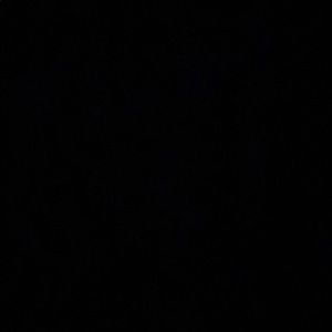 Meet your Posher, Lauryn